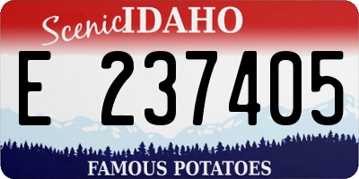 ID license plate E237405