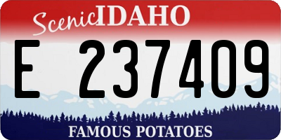 ID license plate E237409