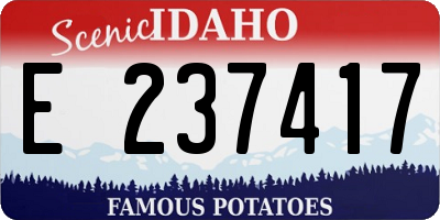 ID license plate E237417
