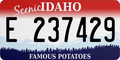 ID license plate E237429