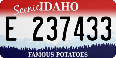 ID license plate E237433