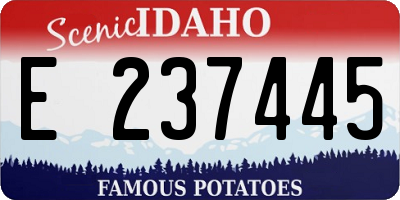 ID license plate E237445