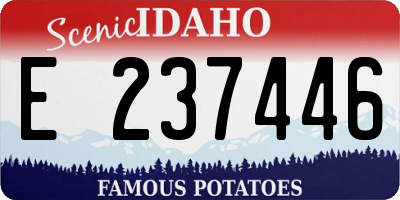 ID license plate E237446