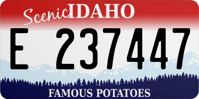 ID license plate E237447