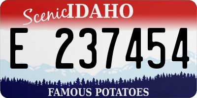 ID license plate E237454