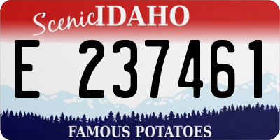 ID license plate E237461