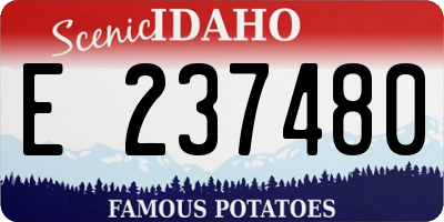 ID license plate E237480