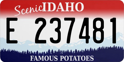 ID license plate E237481