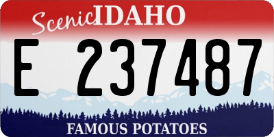 ID license plate E237487
