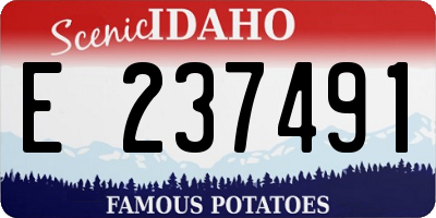 ID license plate E237491