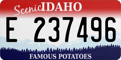 ID license plate E237496