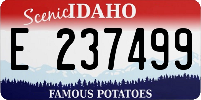 ID license plate E237499