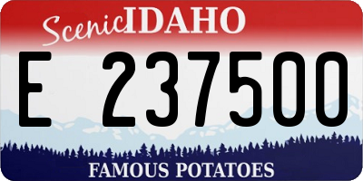 ID license plate E237500
