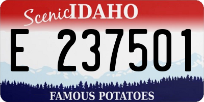 ID license plate E237501