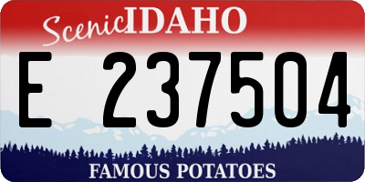 ID license plate E237504