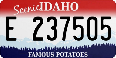 ID license plate E237505