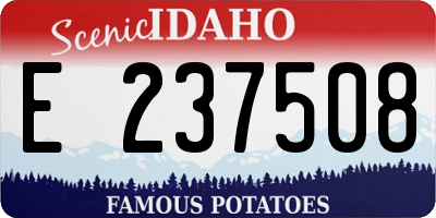 ID license plate E237508