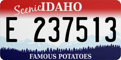 ID license plate E237513