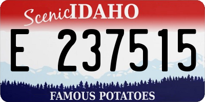 ID license plate E237515