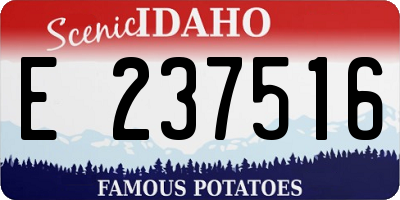 ID license plate E237516