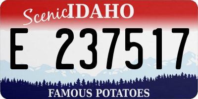 ID license plate E237517