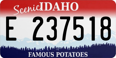 ID license plate E237518
