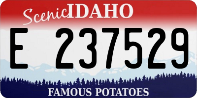 ID license plate E237529