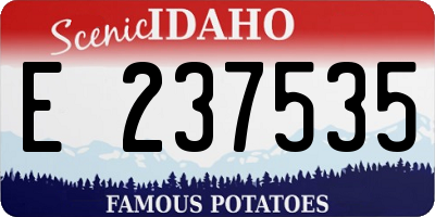 ID license plate E237535