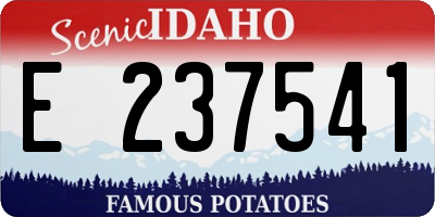 ID license plate E237541