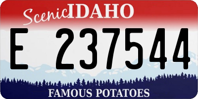 ID license plate E237544