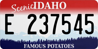 ID license plate E237545