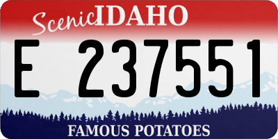 ID license plate E237551