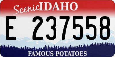 ID license plate E237558