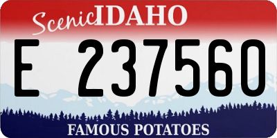 ID license plate E237560
