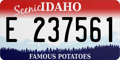 ID license plate E237561