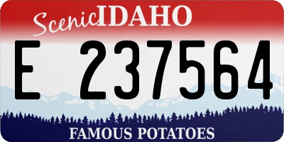 ID license plate E237564