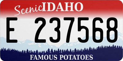 ID license plate E237568