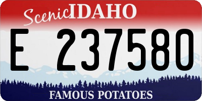 ID license plate E237580