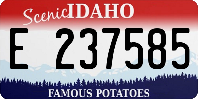 ID license plate E237585