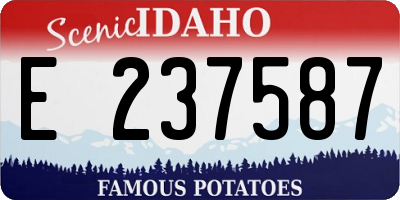 ID license plate E237587