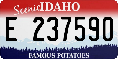 ID license plate E237590