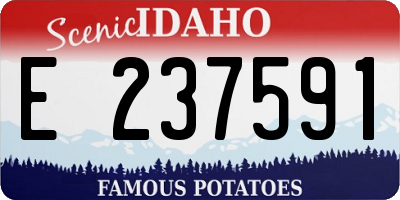 ID license plate E237591