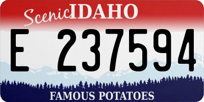 ID license plate E237594