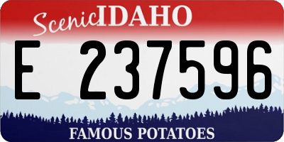 ID license plate E237596