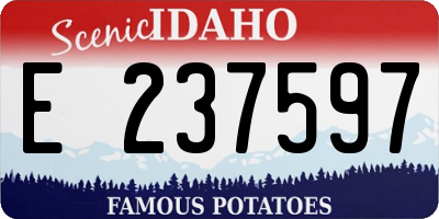 ID license plate E237597