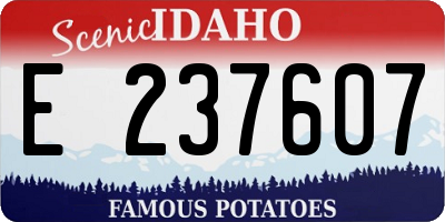 ID license plate E237607