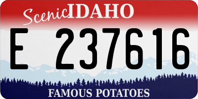 ID license plate E237616