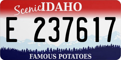 ID license plate E237617