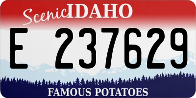 ID license plate E237629