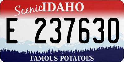 ID license plate E237630